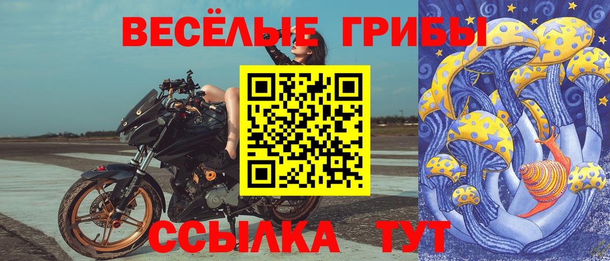 Псилоцибиновые грибы Cubensis  Псилоцибиновые грибы ЛСД  Магнитогорск  Вход с VPN 