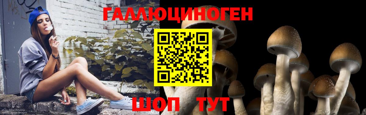 Марихуана Магнитогорск